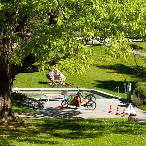 Totholzentfernung an einer Roteiche mit Seilklettertechnik im Kneipp Aktiv Park in Ottobeuren Kooperation mit „Betsy Baumpflege“ (Foto: Stube Dreieinhalb)